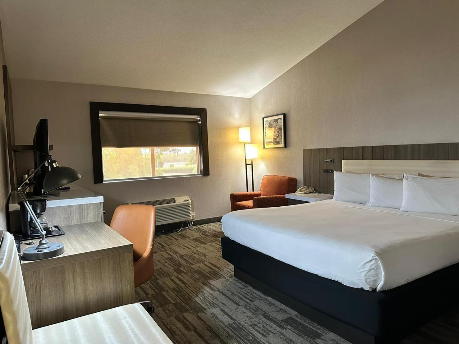 La Casa Modesto, Ascend Hotel Collection Ngoại thất bức ảnh
