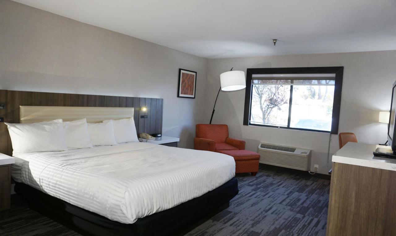 La Casa Modesto, Ascend Hotel Collection Ngoại thất bức ảnh